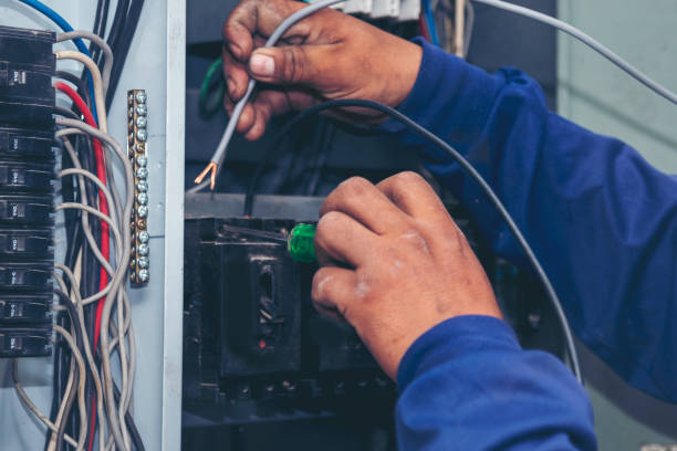 Best Electric Panel Repair  in Lakewood Park, TN